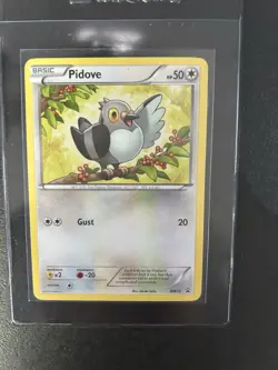 Pidove BW15, LP, Toys R Us Mystery Promo, Rare, Black & White, Pokemon TCG Cards - Image 1