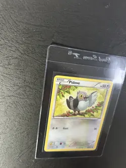 Pidove BW15, LP, Toys R Us Mystery Promo, Rare, Black & White, Pokemon TCG Cards - Image 2