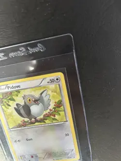Pidove BW15, LP, Toys R Us Mystery Promo, Rare, Black & White, Pokemon TCG Cards - Image 3