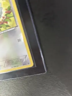 Pidove BW15, LP, Toys R Us Mystery Promo, Rare, Black & White, Pokemon TCG Cards - Image 5