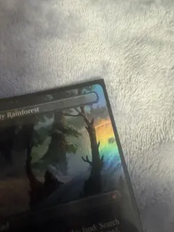 Misty Rainforest (Borderless) Special Guests Foil - Image 4