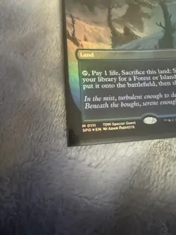 Misty Rainforest (Borderless) Special Guests Foil - Image 5