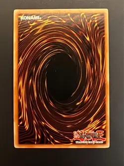 D.D. Warrior Lady DCR-027 Dark Crisis-1st Edition 1st Edition LP - Image 2