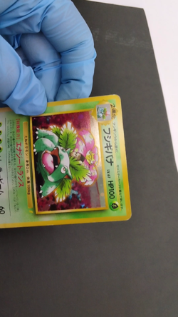 Venusaur CD Promo Trade Please 1999 No.003 Holo MP Japanese Pokemon Card - Image 2