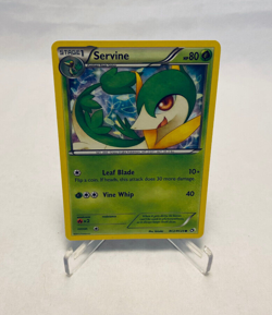 Pokemon Trading Card Game Black & White Radiant Collection Servine RC2/RC25 - Image 1