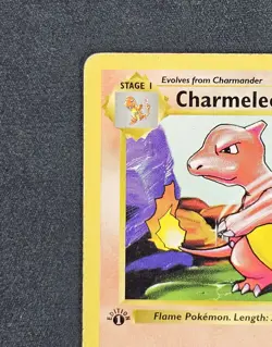 1st Edition Shadowless Charmeleon 024/102 Base Set - Pokemon TCG - Image 3