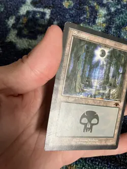 MTG Swamp Guru Lands Magic the Gathering - Image 3