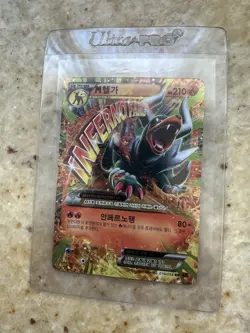 Pokemon Psa 8 Graded Lot Of 2 And 5 Full Art Holos. Full Art Evee , Rayquaza EX - Image 2