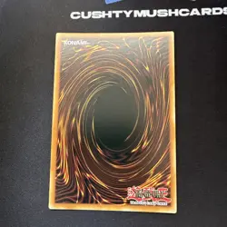 YUGIOH DARK MAGICAL CIRCLE SECRET RARE TDIL-EN057 1ST EDITION - Image 3