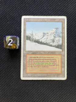 Taiga - Revised Edition - Dual Land - Vintage MTG - MP - 1994 - Image 1