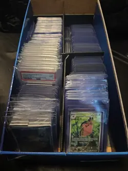 Pokemon Collection! Large. 151 Charizard, Paldea Evolved Magikarp and More! - Image 1