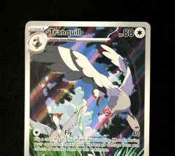 Pokemon Card - Tranquill 149/086 Black Bolt English - Illustration Rare - NM ⭐ - Image 2