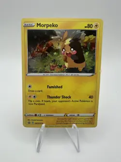 Black Star Promo Morpeko SWSH116 Sword and Shield Promos Pokemon TCG LP/MP - Image 1