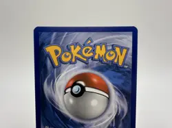 Morpeko SWSH031 Sword and Shield Black Star Promos Pokemon TCG LP - Image 5