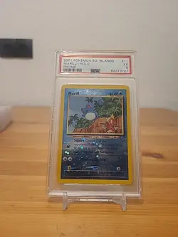 Pokemon Southern Islands Set - reserviert - Image 3