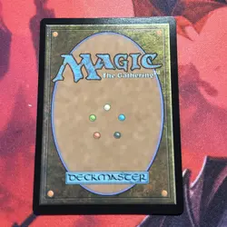Forest Borderless Foil, Mtg Single, Secret Lair, 1651 Near Mint - Image 4