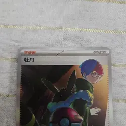 Pokemon TCG S-Chinese Card Penny Exclusive Gem Vol.2 CBB2C10 04/04 NM - Image 2