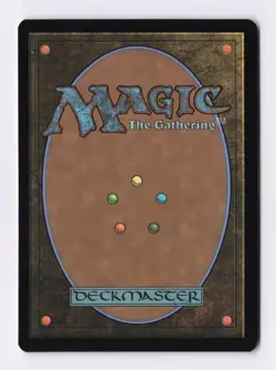 Multiversal Passage (Borderless) 0206 (R) MTG Marvel's Spider-Man (SPM) - Image 2