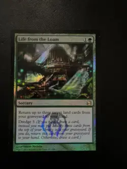 MTG- Life from the Loam x1 - Modern Masters 2013 FOIL - Image 1