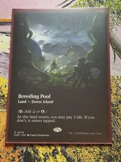 Breeding Pool - Borderless - EOE - MTG - EN - NM - 0278 - Image 3