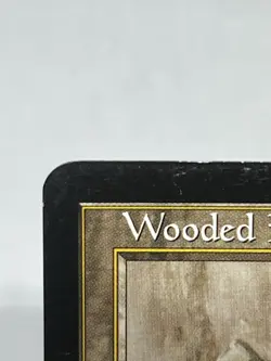 Wooded Foothills Onslaught LP+ - Image 3