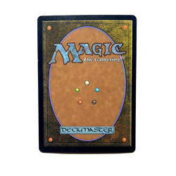 Secluded Glen LP Lorwyn Rare MTG See Photos Magic the Gathering - Image 2