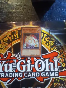 YuGiOh! Banisher of The Radiance DR04-EN202 Super Rare NMM - Image 1