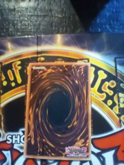 YuGiOh! Banisher of The Radiance DR04-EN202 Super Rare NMM - Image 3