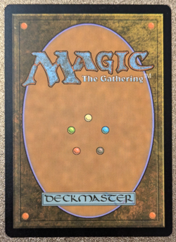 Shipwreck Marsh (Borderless) - Innistrad: Midnight Hunt (MID) - Image 2