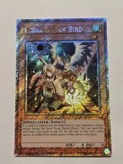 Droll & Lock Bird (PSR) RA02-EN006 Platinum Secret Rare Yugioh 1st Edition NM - Image 1