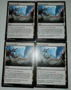 4 x Spawning Bed Moderately Played - Image 1