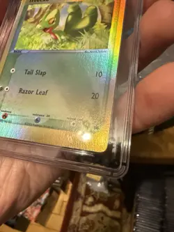 CGC 10 Treecko Reverse Holo #003 Black Star Promo Pokemon League 2003 Pokemon - Image 4