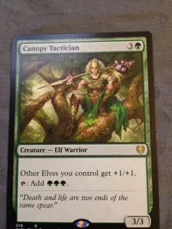 1x - Canopy Tactician - Kaldheim - NM MTG - Image 1