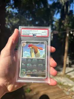 PSA 10 Pidgeotto (Master Ball Foil) C 017/165 SV2a Pokemon Card 151 - Japanese - Image 1