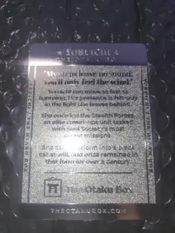 Otaku Box Limited Edition Collectible Metal Card Yoruichi - Image 2