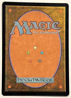 MTG Restless Cottage (Borderless Foil) Wilds of Eldraine NM - Image 2