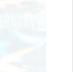 2019 POKEMON SWORD & SHIELD BLACK STAR PROMOS #SWSH144 GRENINJA CELEBRATIONS - Image 5