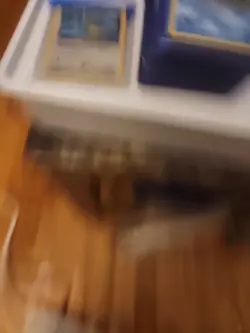 Lot of Pokemon 1st Edition Cards. Early Expansions. Great Condition - Image 3