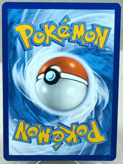 Skwovet Illustration Rare #222/198 - SV01: Scarlet & Violet Base Set Pokemon TCG - Image 2