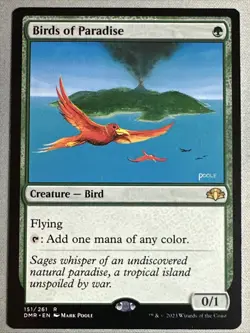 MTG / Birds of Paradise / DMR / #151 / Regular / Rare / NM - Image 1