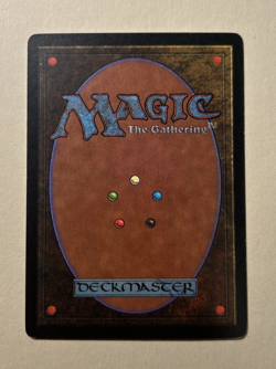 Shallow Grave - Mirage (MIR) - MTG - NM Unplayed - Image 2