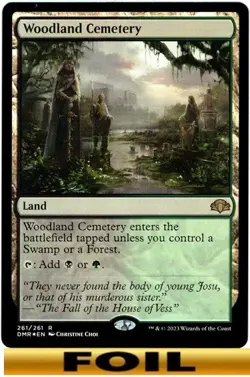 1x - Woodland Cemetery - FOIL - Dominaria Remaster - NM MTG - Image 1