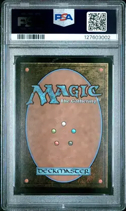 2025 MTG FINAL FANTASY: THROUGH THE AGES FOIL #0030 VANA'DIEL ADVENTURERS PSA 8 - Image 2