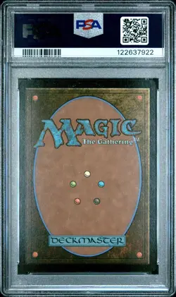 2025 MTG SECRET LAIR DROP KEXP: WHERE THE MUSIC MATTERS-FOIL MOUNTAIN PSA 8 - Image 2