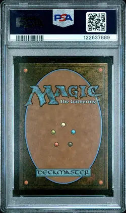 2025 MTG SECRET LAIR DROP EVERYONE'S INVITED!-FOIL #1903 COAT OF ARMS PSA 9 - Image 2
