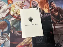 Magic Secret Lair x DND: An Exhibition of Adventure Foil Edition IN HAND - Image 1