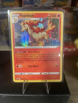 Silver Tempest Rapidash Black Star Promos SWSH270 Holo Rare Pokemon TCG NM - Image 1
