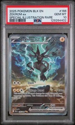 Pokemon BLK EN ZEKROM Ex Special Illustration Rare PSA 10 Gem Mint #166 - Image 2