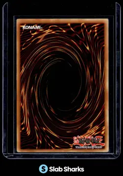 2002 YU-GI-OH! DARK DUEL STORIES #DDS-004 SEIYARYU - Image 2