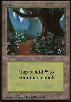 Damaged, English MTG Regular Forest (Path) Beta Magic the Gathering - Image 1